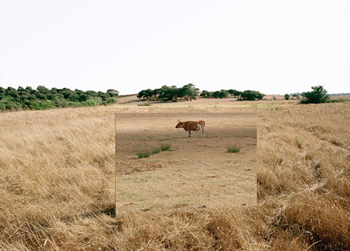 andrea galvani photography photographer surreal booooooom
