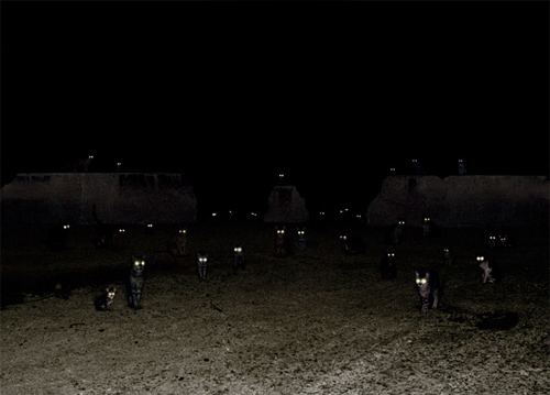 andrea galvani photography photographer surreal booooooom