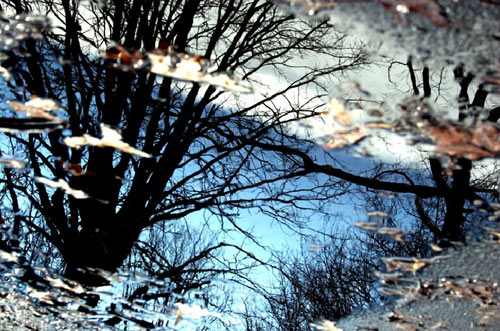 robin soulier photography photographer paris ny booooooom