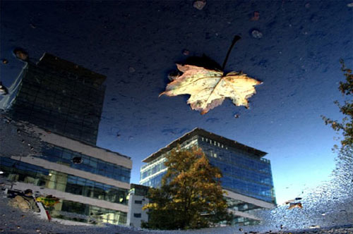 robin soulier photography photographer paris ny booooooom