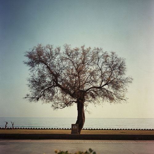 erika svensson photographer photography