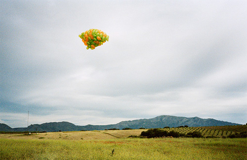 erika svensson photographer photography