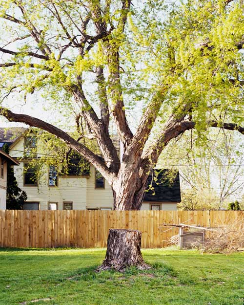 cameron wittig photographer photography