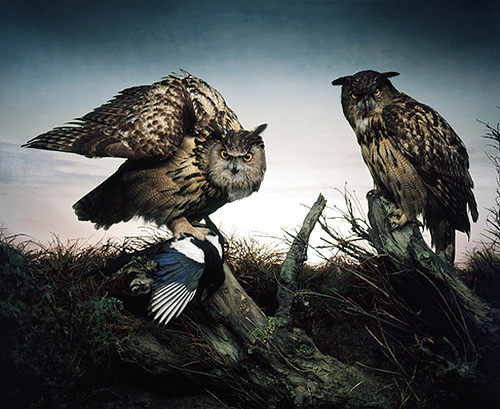 booooooom kim boske art artist profile