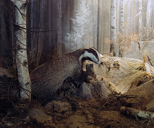 booooooom kim boske art artist profile