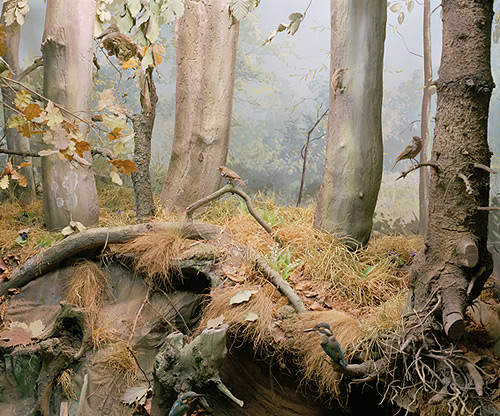 booooooom kim boske art artist profile