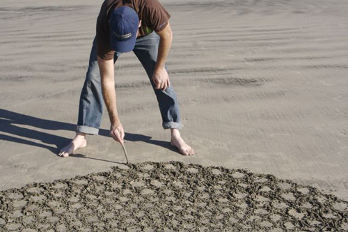 booooooom jim denevan sand art drawing illustration pattern beach