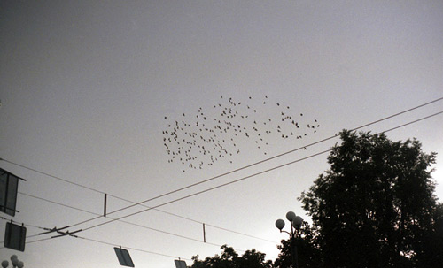 boooooom paul paper photography photographer lithuania
