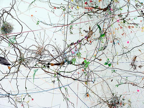 Gerda Steiner Jorg Lenzlinger brainforest art artist installation