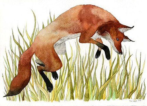diana sudyka illustrator artist illustration painting