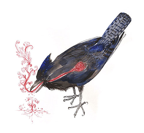 diana sudyka illustrator artist illustration painting