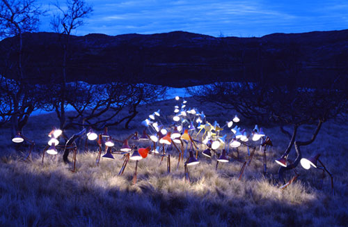 rune guneriussen lamps nature photography