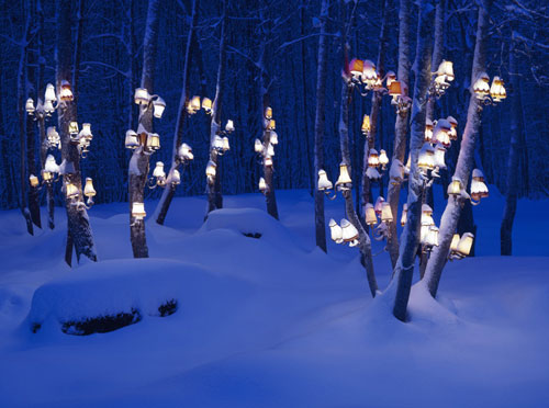 rune guneriussen lamps nature photography