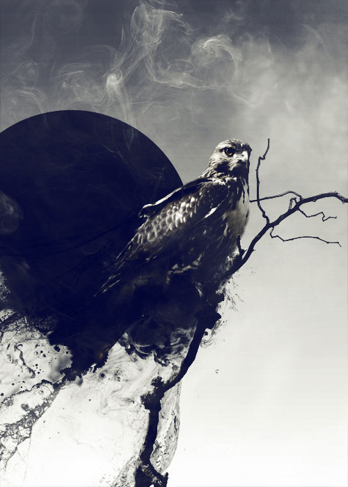 christopher hewitt illustration design