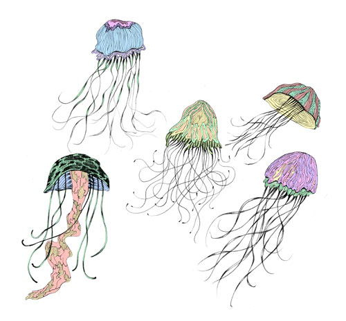 ashkahn graphic design illustration