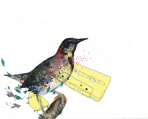 charmaine olivia illustration illustrator
