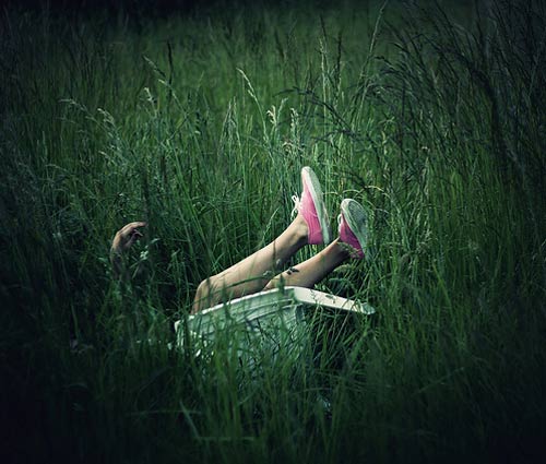 chrissie white photographer photography