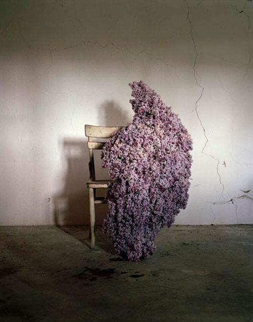 elspeth diedrix artist photographer
