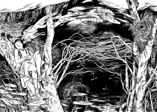 jillian tamaki illustrator illustration