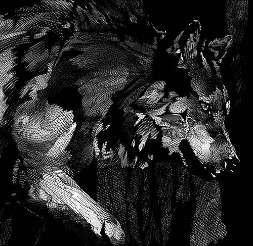 kakofonia illustrator illustration