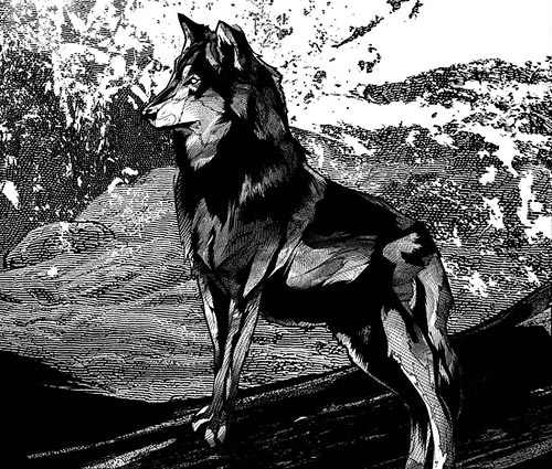 kakofonia illustrator illustration