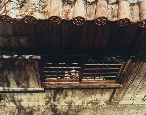 kanako sasaki photographer photography