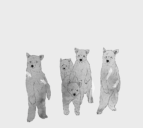 kenneth lavallee illustrator illustration