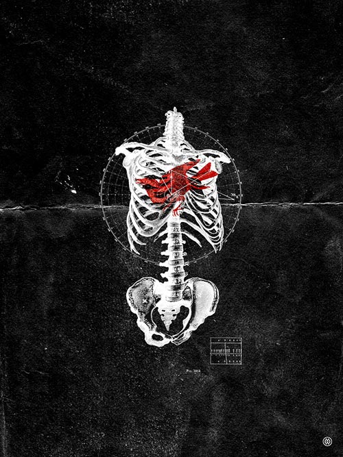 mark weaver graphic design illustration