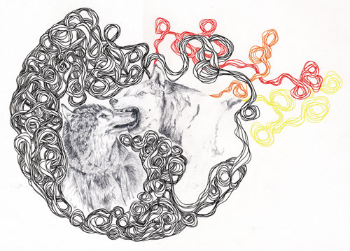 scott radnidge drawing illustration