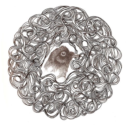 scott radnidge drawing illustration