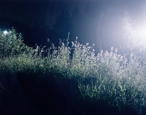 adam jeppesen photographer photography