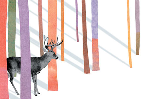 andrew holder illustration illustrator graphic designer design