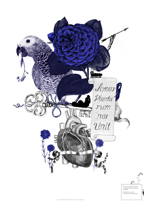 beata boucht illustrator illustration editorial artist fashion