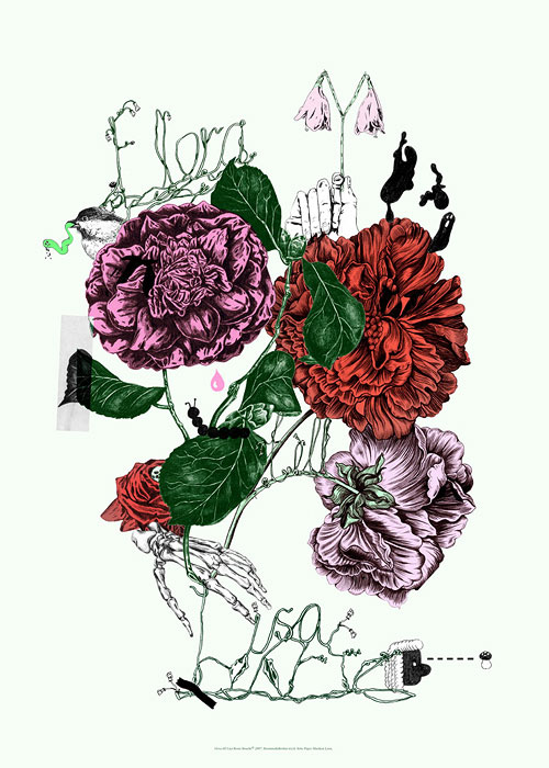 beata boucht illustrator illustration editorial artist fashion