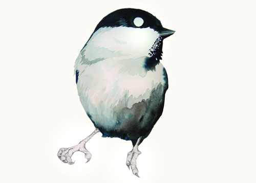 claire scully the quiet revolution painting drawing artist typography