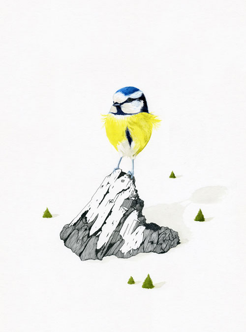 claire scully the quiet revolution painting drawing artist typography