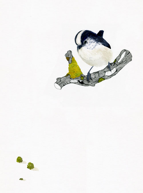 claire scully the quiet revolution painting drawing artist typography