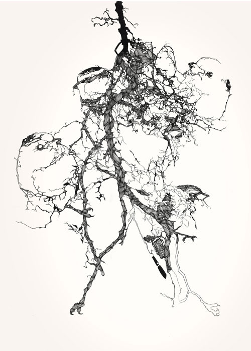claire scully the quiet revolution painting drawing artist typography