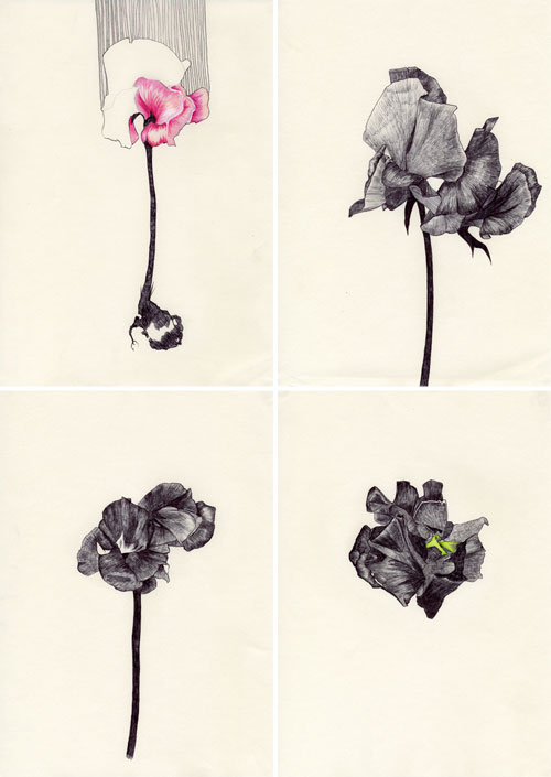 claire scully the quiet revolution painting drawing artist typography