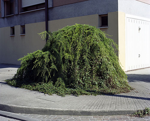 daniel augscholl photography photographer