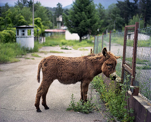 daniel augscholl photography photographer