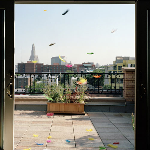 jakob hunosoe photographer photography