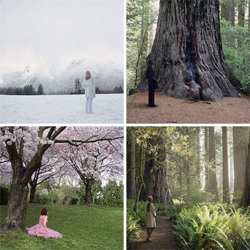 karin bubas vancouver canada photographer photography studies in landscapes and wardrobe