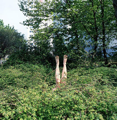 katrin binner photographer photography photosynthesen