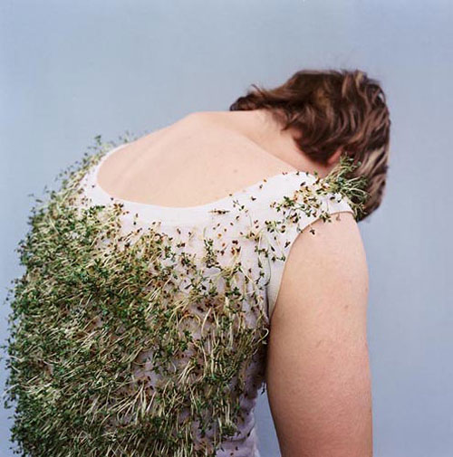 katrin binner photographer photography photosynthesen