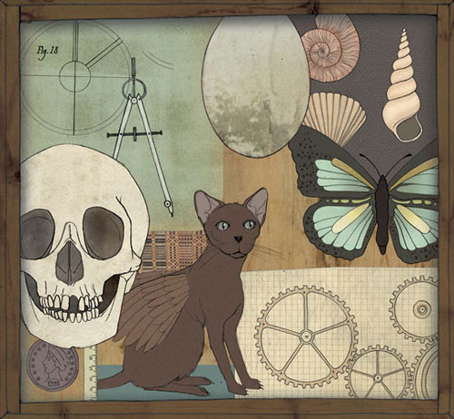 marco cibola illustrator illustration editorial