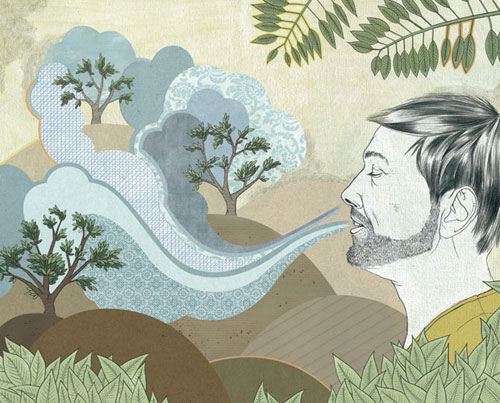 marco cibola illustrator illustration editorial