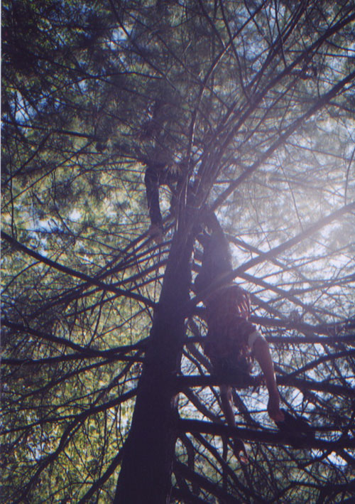 nina hartmann photography photographer polaroid film