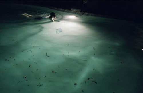 nina hartmann photography photographer polaroid film