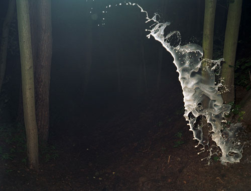 paul herbst photographer photography
